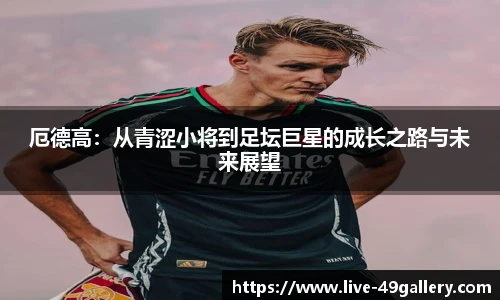 49图库官网